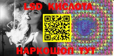 тгк Дмитров