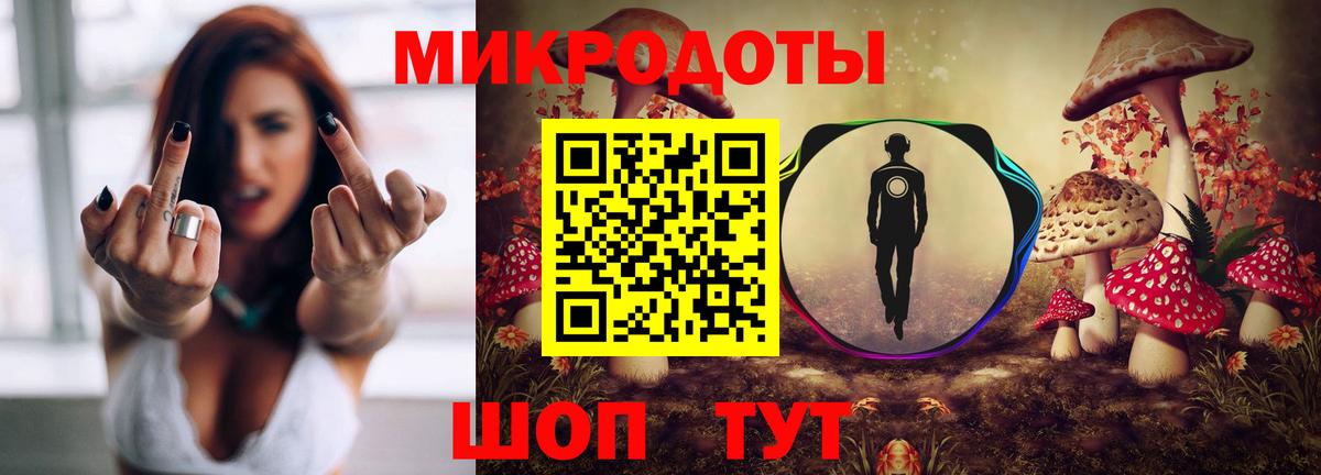 Галлюциногенные грибы Psilocybe  Псилоцибиновые грибы мицелий  Вход с VPN  Нефтекамск 