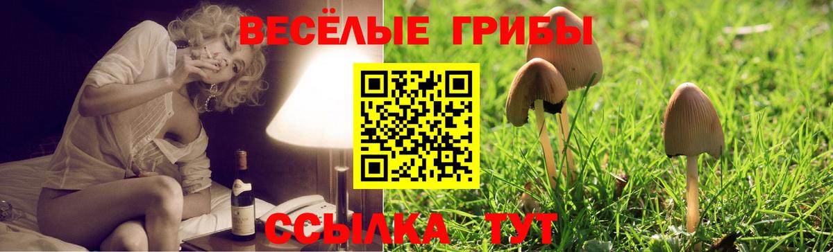 Псилоцибиновые грибы MAGIC MUSHROOMS Нефтекамск